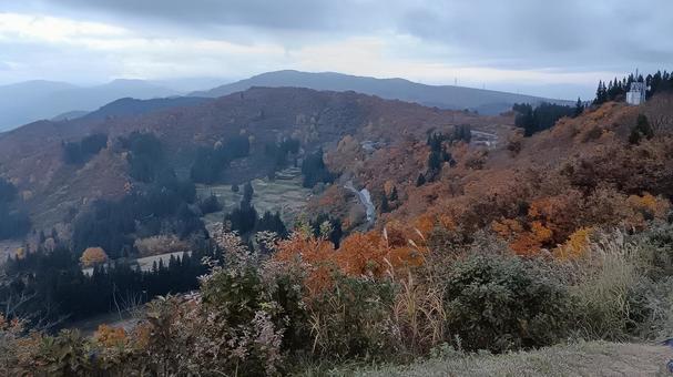 魚沼スカイラインの紅葉の写真