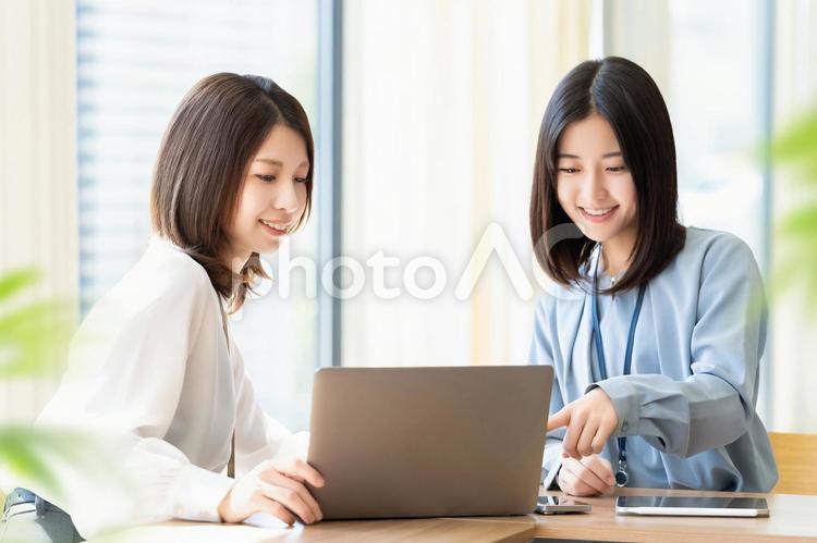 ミーティングをする2人のビジネスウーマン 女性,ビジネス,ビジネスウーマンの写真素材