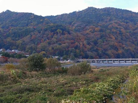渡月橋 渡月橋,嵐山,京都の写真素材