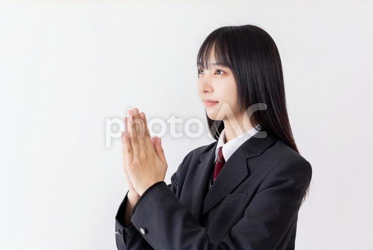 合格発表の掲示板を確認する女子高生 女子高生,受験,受験生の写真素材