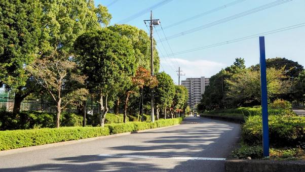 江戸川区西葛西・秋の日差しの歩道・東京都 江戸川区西葛西・秋の日差しの歩道・東京都 秋,日差し,歩道の写真素材