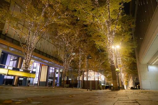 イルミネーション イルミネーション,光,冬の写真素材