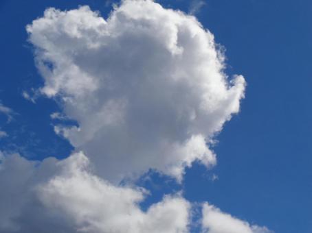 夏の雲 夏の雲の写真