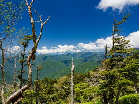 光岳山道からの景色 光岳山道からの景色の写真