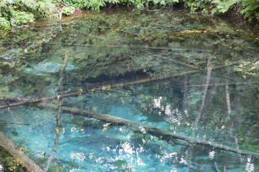 神の子池2 神の子池,ブルー,池の写真素材
