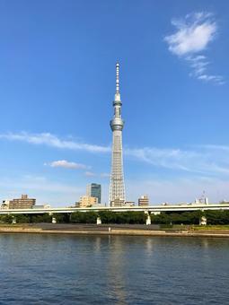 スカイツリー スカイツリーの写真