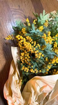 ミモザ ミモザ,花束,黄色の写真素材