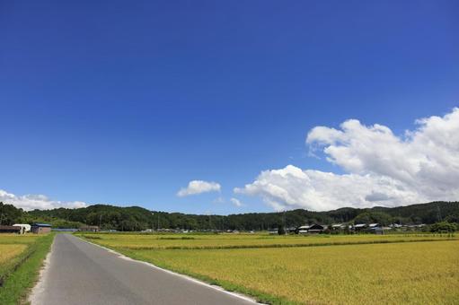 青空と農道 青空,快晴,青いの写真素材