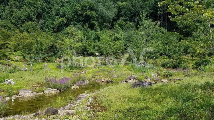 小川と草木 景色,自然,水の写真素材