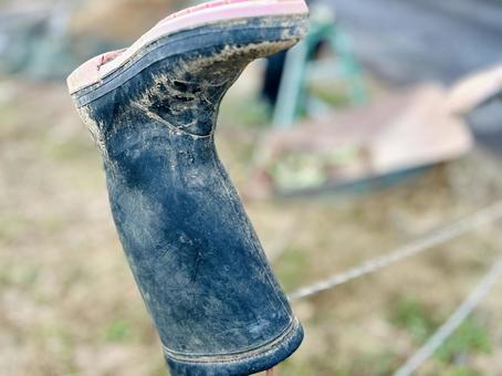 畑仕事の後の長ぐつ 長靴,畑仕事,農作業の写真素材