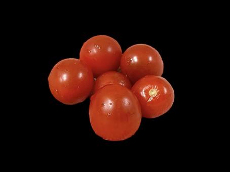 とまと とまと,ミニトマト,プチトマトの写真素材
