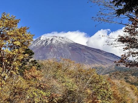 富士山スカイラインから見る秋の富士山 富士山,紅葉,秋の写真素材