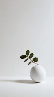 丸い花瓶の植物のインテリア 丸い花瓶の植物のインテリアの写真