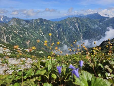 蓮華岳登山 蓮華岳登山の写真
