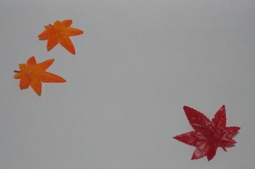 もみじ 背景 もみじ 背景 もみじ,秋,紅葉の写真素材