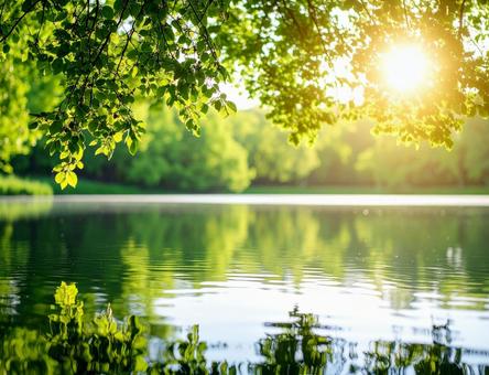 夏の湖畔と新緑の木漏れ日背景3の写真