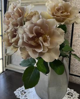 上品な花 上品な花の写真