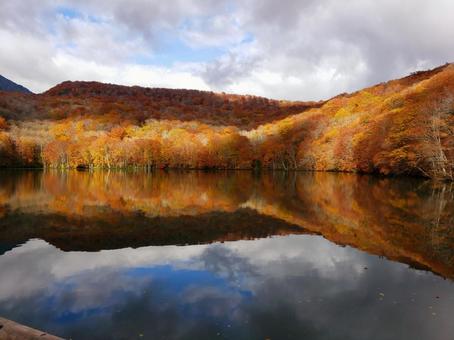 蔦沼の紅葉(青森県十和田市) 紅葉,もみじ,秋の写真素材