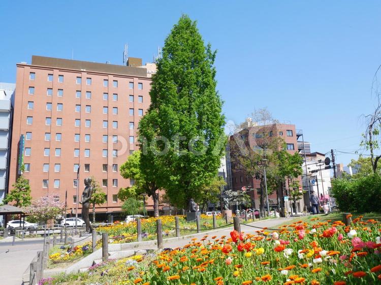 下石井公園の新緑 ４月,春,青空の写真素材
