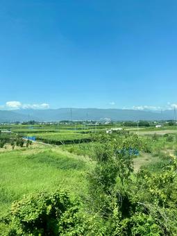 夏の信州、広がる畑と青空 夏の信州、広がる畑と青空 長野,信州,日本の写真素材