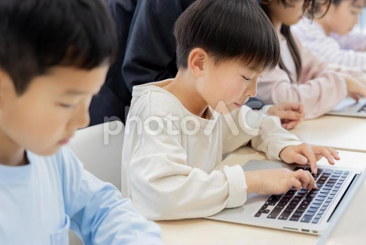 IT学習をする小学生 小学生,プログラミング,女の子の写真素材