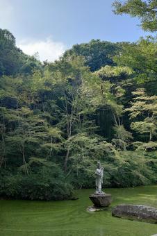 広島県-明王院-弁天池 広島県-明王院-弁天池 明王院,寺,中道山の写真素材