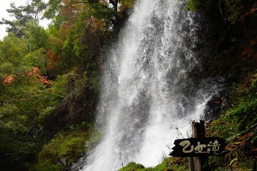 森に映える滝の風景 乙女滝,滝,水しぶきの写真素材