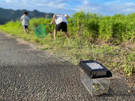 子どもたちの夏休み 子どもたちの夏休みの写真