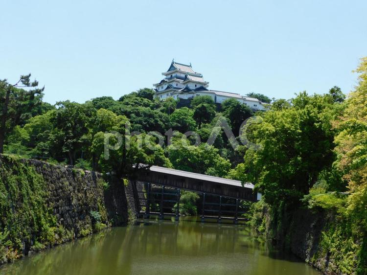 和歌山城天守と御橋廊下 和歌山城,天守,天守閣の写真素材