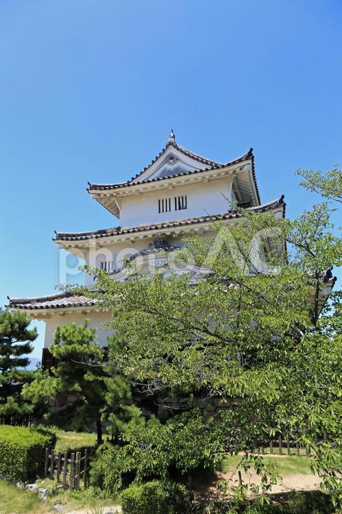 初夏の丸亀城のある風景 初夏,石垣,石積の写真素材