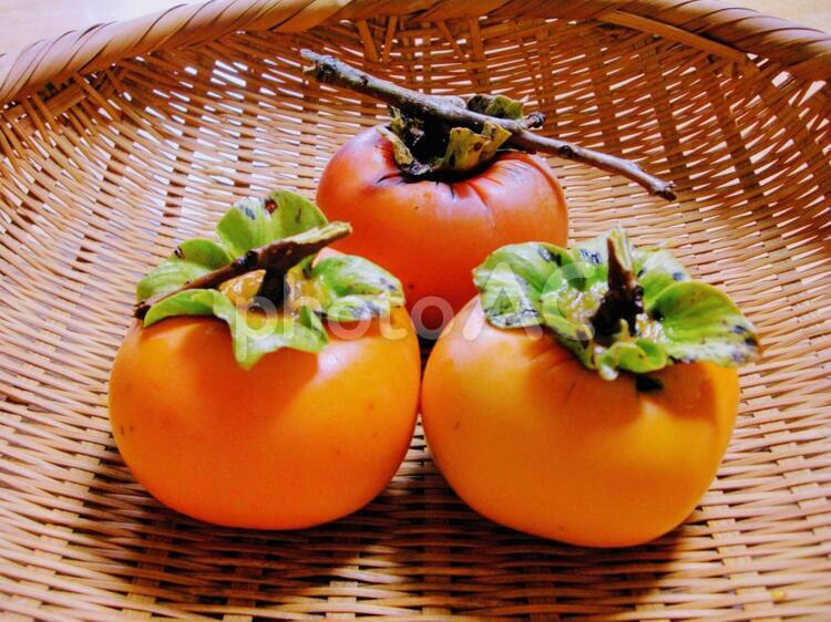 秋の味覚！オレンジ色に完熟した柿(persimmon) 果物,フルーツ,健康の写真素材