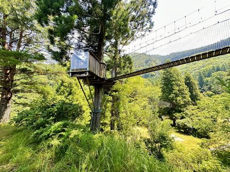 日本の秘境 十津川村 吊り橋 日本の秘境 十津川村 吊り橋 十津川村,自然,森林の写真素材