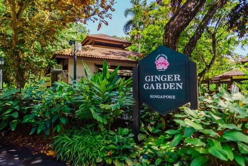 【シンガポール】植物園オーキッドガーデン ナショナル,オーキッドガーデン,ガーデンの写真素材