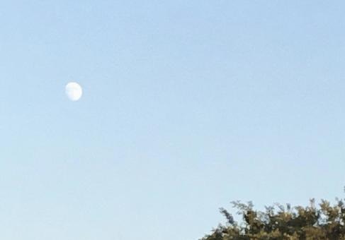 夕方の月 夕方の月の写真