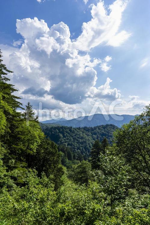 国道352号線から見る南会津の山々 山,福島県,南会津の写真素材
