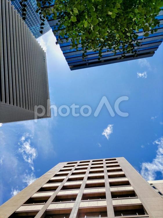見上げるビル群と青空 ビル,青空,晴れの写真素材