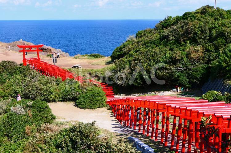 元乃隅神社より日本海を望む。長門、山口、日本。 元乃隅稲成神社,元乃隅,神社の写真素材