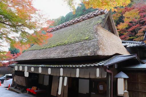 嵯峨鳥居本伝統的建造物保存地区の住宅 嵯峨鳥居本伝統的建造物保存地区,住宅,茅葺き屋根の写真素材