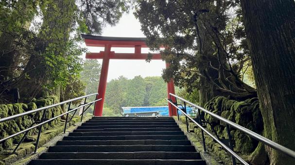 鳥居 鳥居の写真