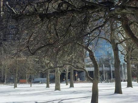Snow scene in New York, USA, JPG Snow scene in New York, USA, JPG