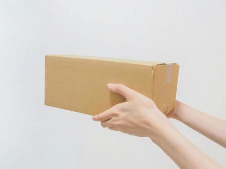 ダンボールを持つ ダンボールを持つ ダンボール,箱,荷物の写真素材