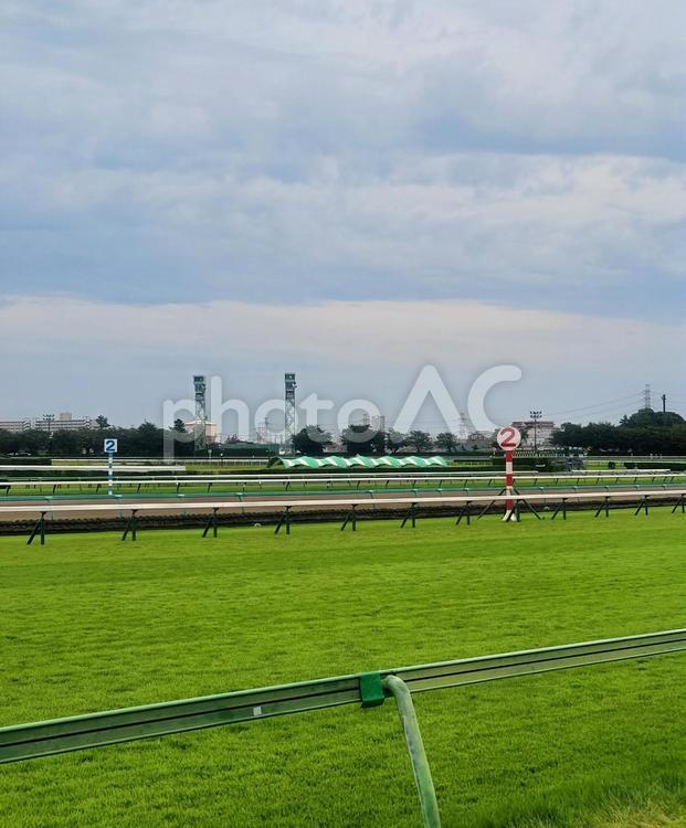 曇りの日の競馬場 競馬場,曇り,曇天の写真素材