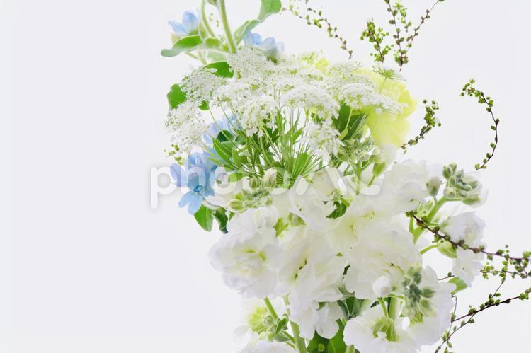 白と水色の花のアレンジメント 白い花,花束,アレンジメントの写真素材