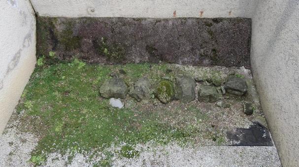 北ノ庄城 石垣の遺構 北ノ庄城 石垣の遺構 北ノ庄城,遺構,史跡の写真素材