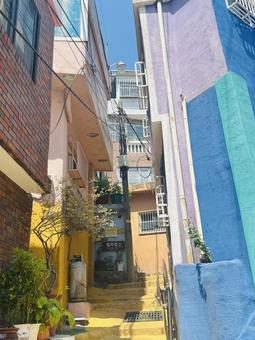 甘川文化村 甘川文化村の写真