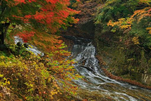 養老渓谷 養老渓谷,粟又の滝,滝の写真素材