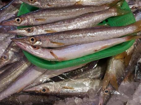 魚屋さんの「カマス」の写真