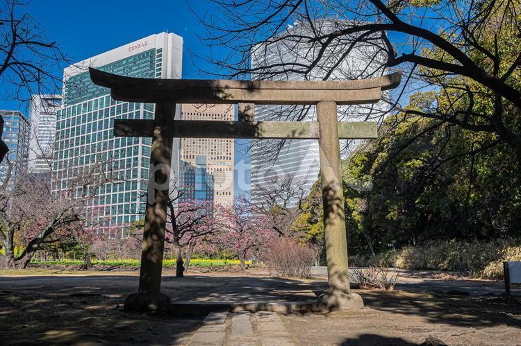 東京　浜離宮恩賜庭園の風景 東京,東京都,浜離宮恩賜庭園の写真素材