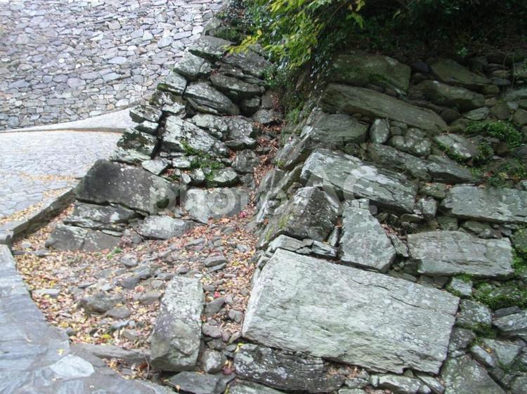 和歌山城石垣 和歌山城の写真素材