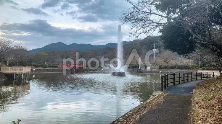 甘木公園の池と噴水 噴水,池,公園の写真素材